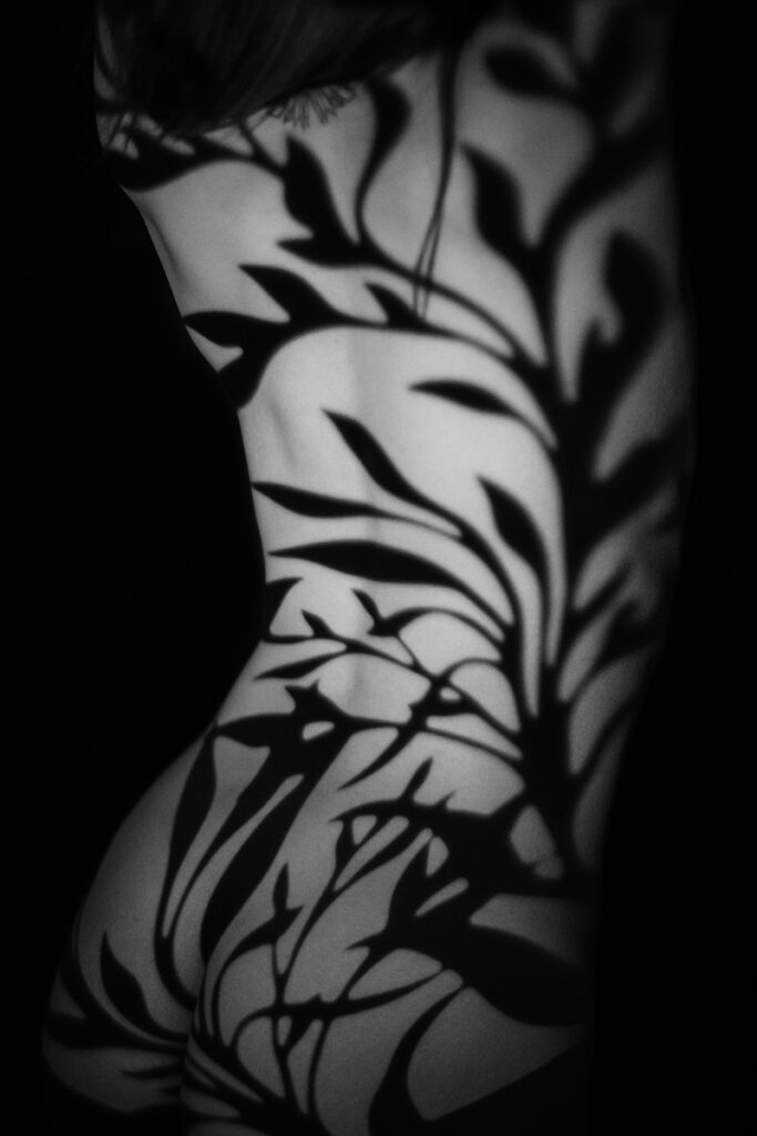 Beautiful bridal boudoir photo of bride in elegant lingerie, posed in natural light and studio light.