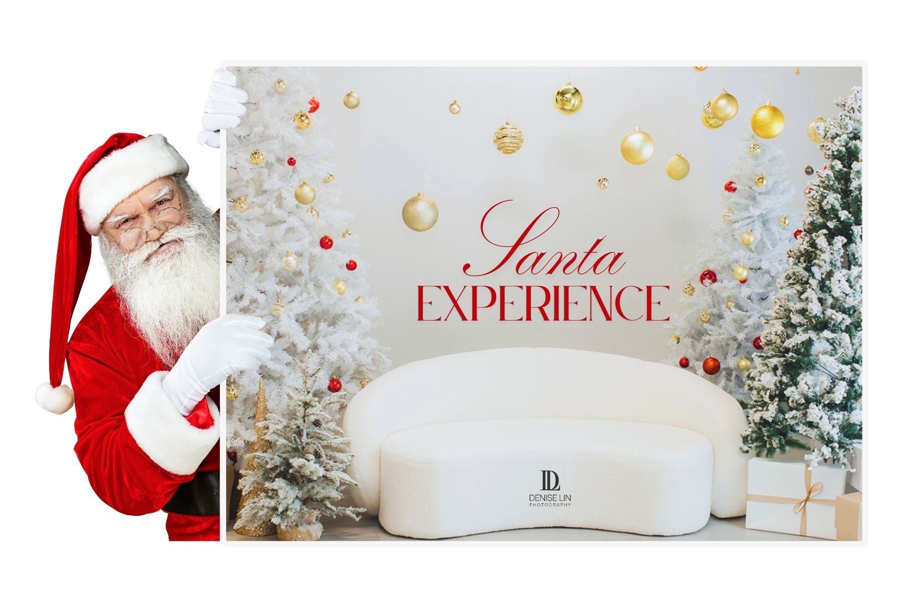 Santa Experience