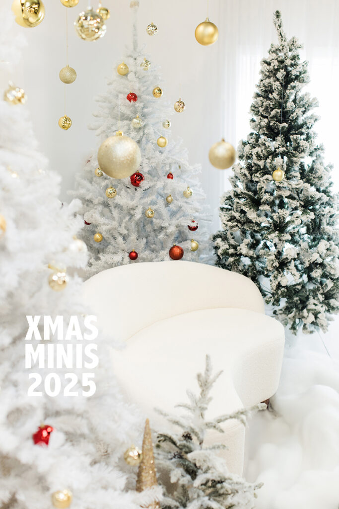 Xmas2025-5b